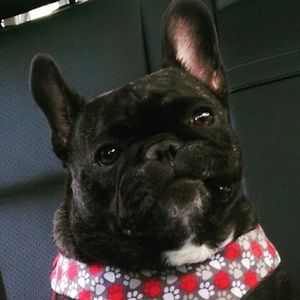 Meet your Posher, Veronica